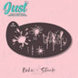 BOHO Stencils - BS0162 Texture Paint Splatter