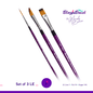 Blazin Brush - Set of 3 - LE (3 pcs)